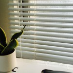 ミドリの効果。